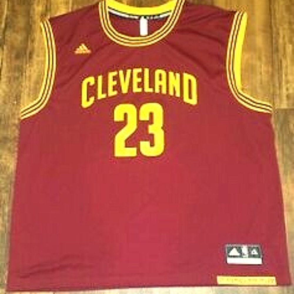 This is a Cleveland Cavaliers Lebron James jersey